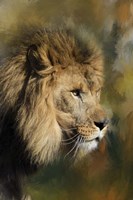 Spring Lion 2 Fine Art Print