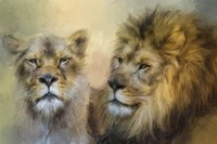 The Lion and His Lioness Fine Art Print