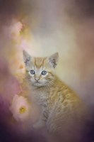 A Sweet Moment 1 Framed Print