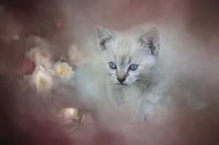 A Sweet Moment 3 Fine Art Print