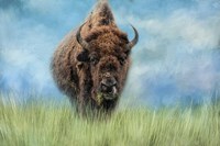 Afternoon Snack Fine Art Print