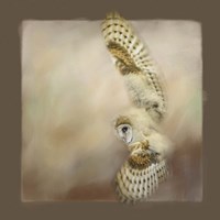 Attempting The First Flight Fine Art Print