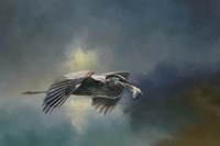 Blue Herons Catch Of The Day Fine Art Print