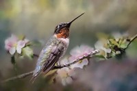 Garden Guardian Fine Art Print