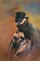 Mom And Baby Francois Langur Fine Art Print