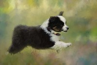 Puppyhood 2 Fine Art Print