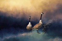 Stranded Fine Art Print