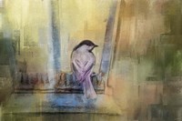 Waiting In The Window Fine Art Print