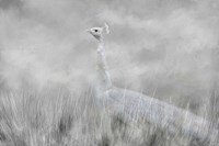 White Beauty In The Field Fine Art Print
