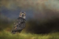 A Night With The Great Horned Owl 4 Fine Art Print