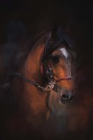 At The Horse Show 1 Fine Art Print