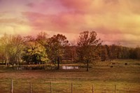 Autumn At The Cattle Farm Fine Art Print