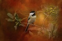 Autumn Day Chickadee Fine Art Print