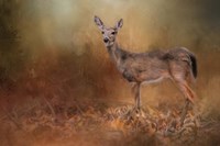 Autumn Journey Fine Art Print