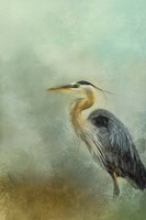 Beach Buddy Fine Art Print