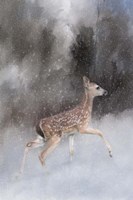 Braving Her First Snow Fine Art Print