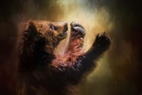 Capturing The Sun Fine Art Print