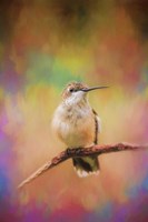 Colorful Personality Fine Art Print