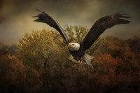 Fall Fishing Fine Art Print