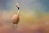 Flamingo Friday Fine Art Print