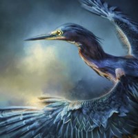 Flight Of The Green Heron Fine Art Print