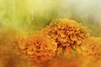 Fresh Autumn Flowers Fine Art Print