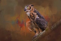 Hot August Night Fine Art Print