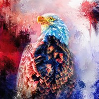 Jazzy Bald Eagle Fine Art Print