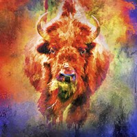 Jazzy Buffalo Framed Print