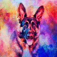 Jazzy German Shepherd Fine Art Print