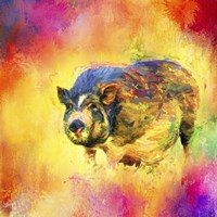Jazzy Pig Framed Print