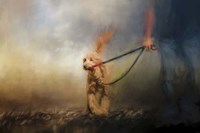 Leading Him Out Of The Storm Fine Art Print