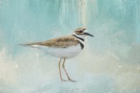 Little Seaside Friend Fine Art Print