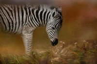 New Life 1 Fine Art Print