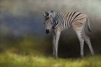 New Life 2 Fine Art Print