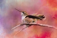 Pretty In Pink Fine Art Print