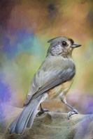 Reading For The Morning Bath Fine Art Print