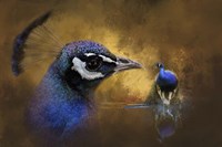 Reflecting On The Past Fine Art Print