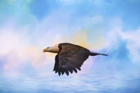 Sea Coasting Fine Art Print