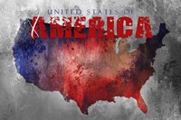 Sending Love To The Usa Fine Art Print