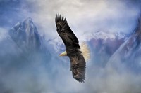 Soaring Fine Art Print