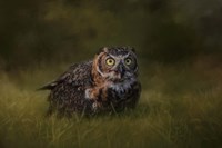 The Appetizer Fine Art Print