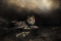 The Kings Domain Fine Art Print