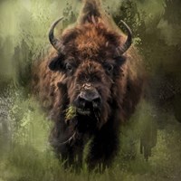 The Nibbler Fine Art Print