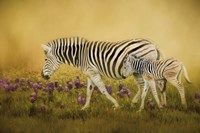 Through The Meadow Fine Art Print