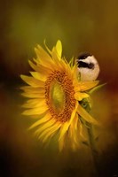 Tiny Surprise Fine Art Print