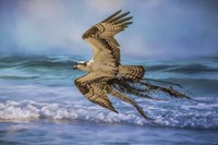 Treasures For The Nest Fine Art Print