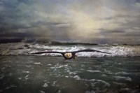 Victory Fine Art Print