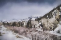 Winter Impressions In Colorado 2 Fine Art Print