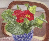 Primrose Fine Art Print